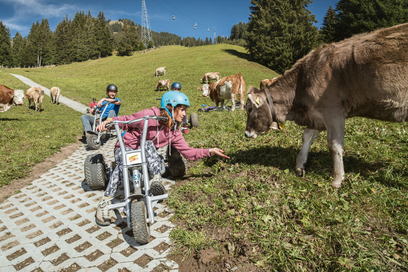 Mountain Carts at Mt. First near Grindelwald