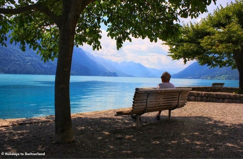 Man sitting on bench beside Lake Brienz