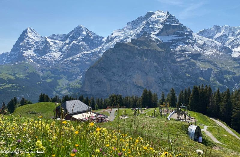 View over Eiger, Monch and Jungfrau from Allmendhubel