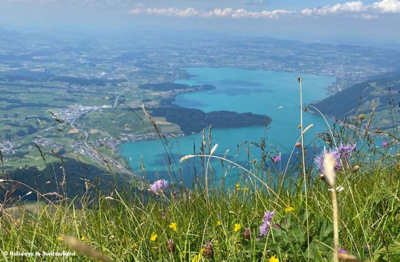 View of Lake Zug from Mt. Rigi
